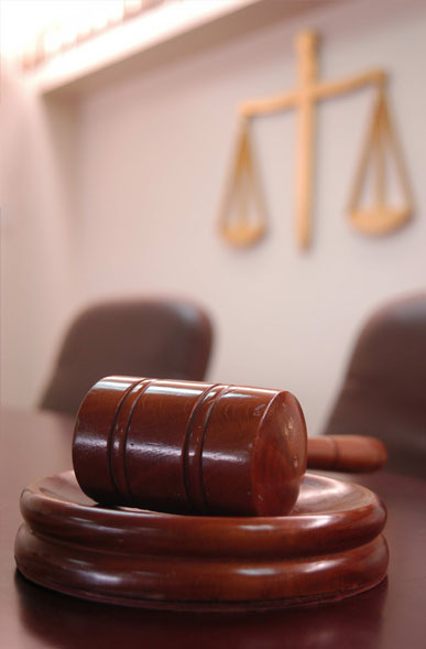 Law & Political Science