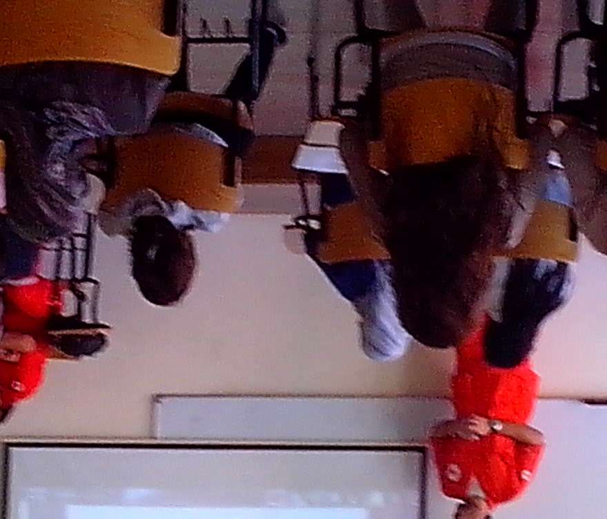 Image Description
