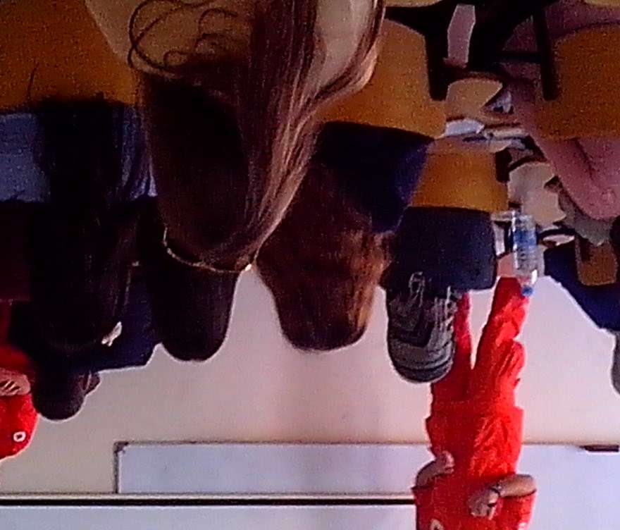 Image Description